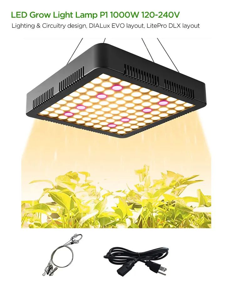 Best Price Cheap Greenhouse Grow Tent Complete Kit Hydroponic System Garden Plant Grow Kit Grow Room Choose