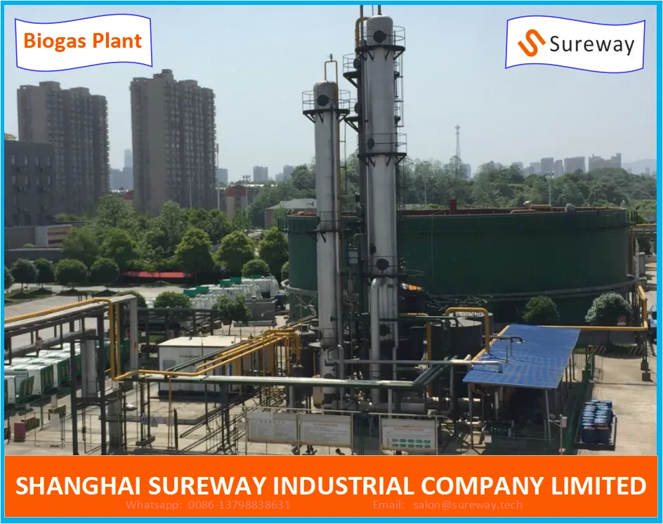 Biogas Cstr Anaerobic Digester for Food Waste/Animal Waste