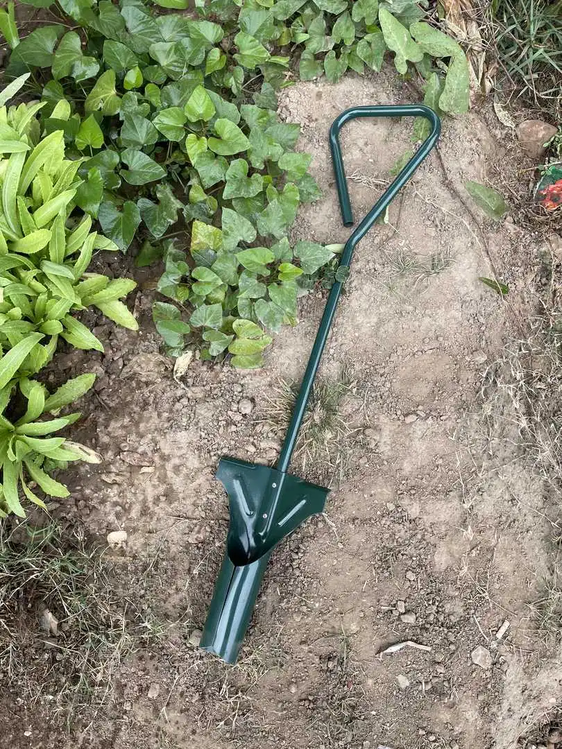 Amazon 2021 New Style High Quality Carbon Steel Garden Tool Bulb Planter