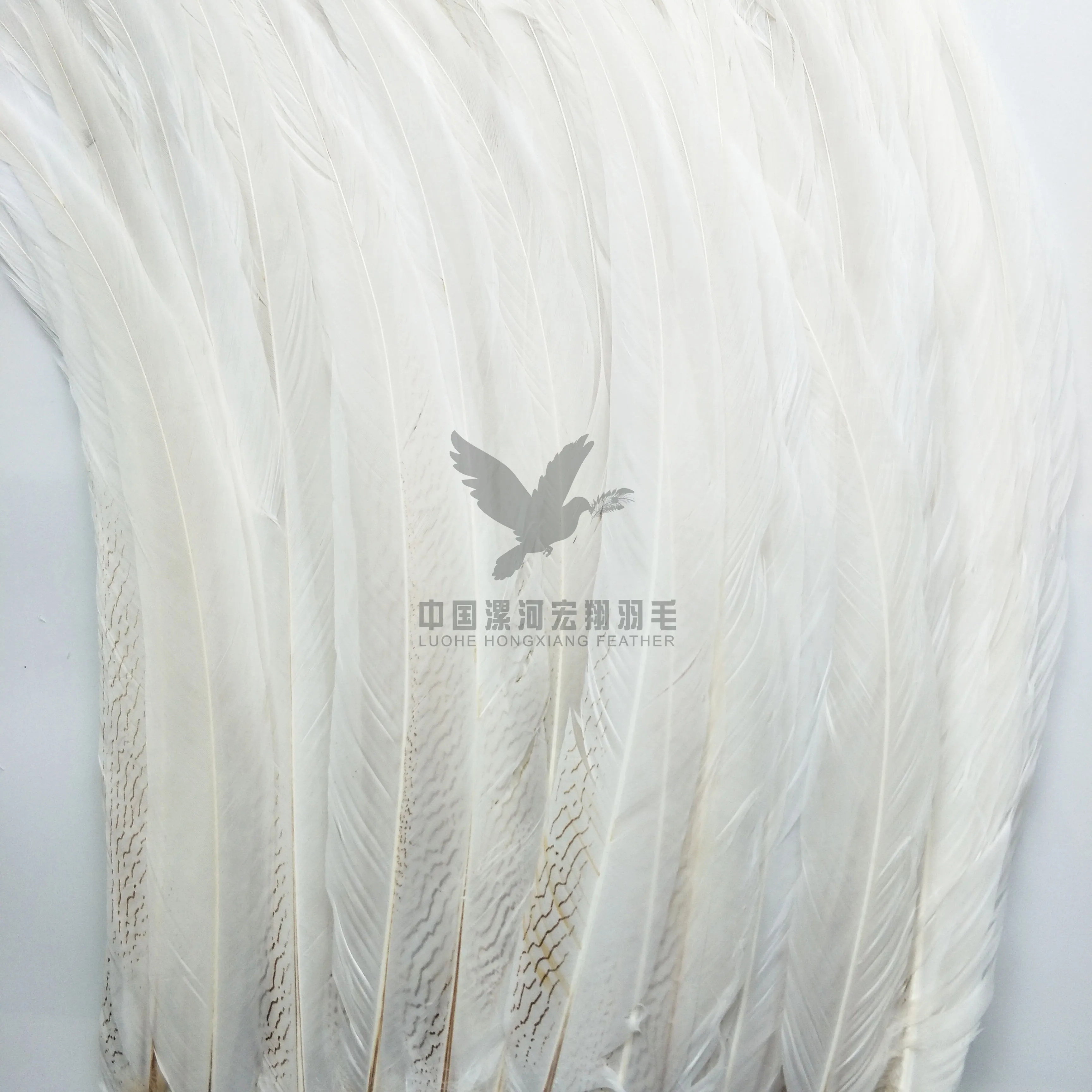  90-100cm Long size silver pheasant tail