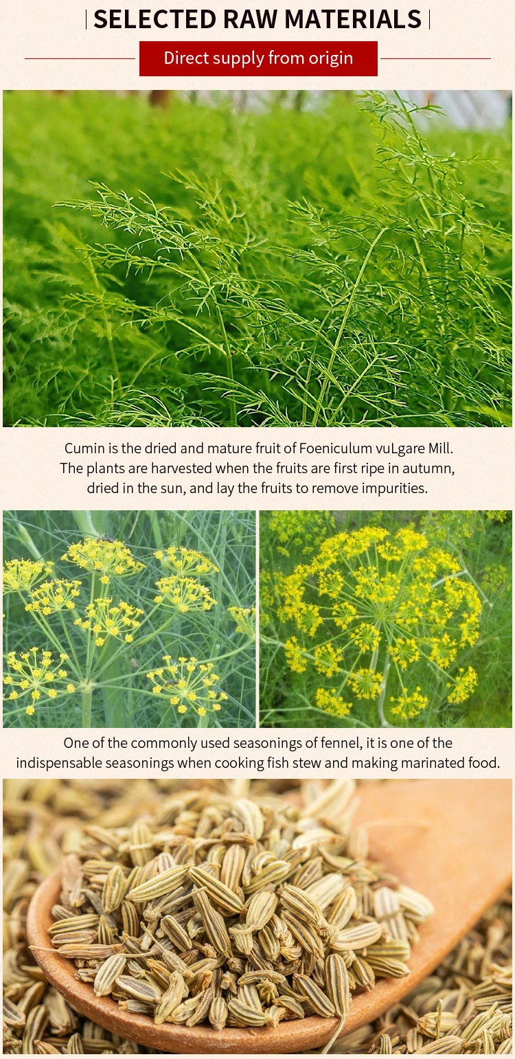 anise_03.jpg
