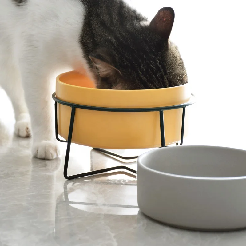 
Biodegradable Custom Cat Dog Pet Bowl Pet ceramic bowl feeder drinking water food bowl with stainless steel stand 