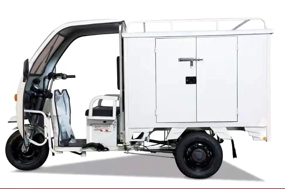 Factory direct supply 3 wheel electric food ice cream trike delivery tricycle cargo tricycle for sale