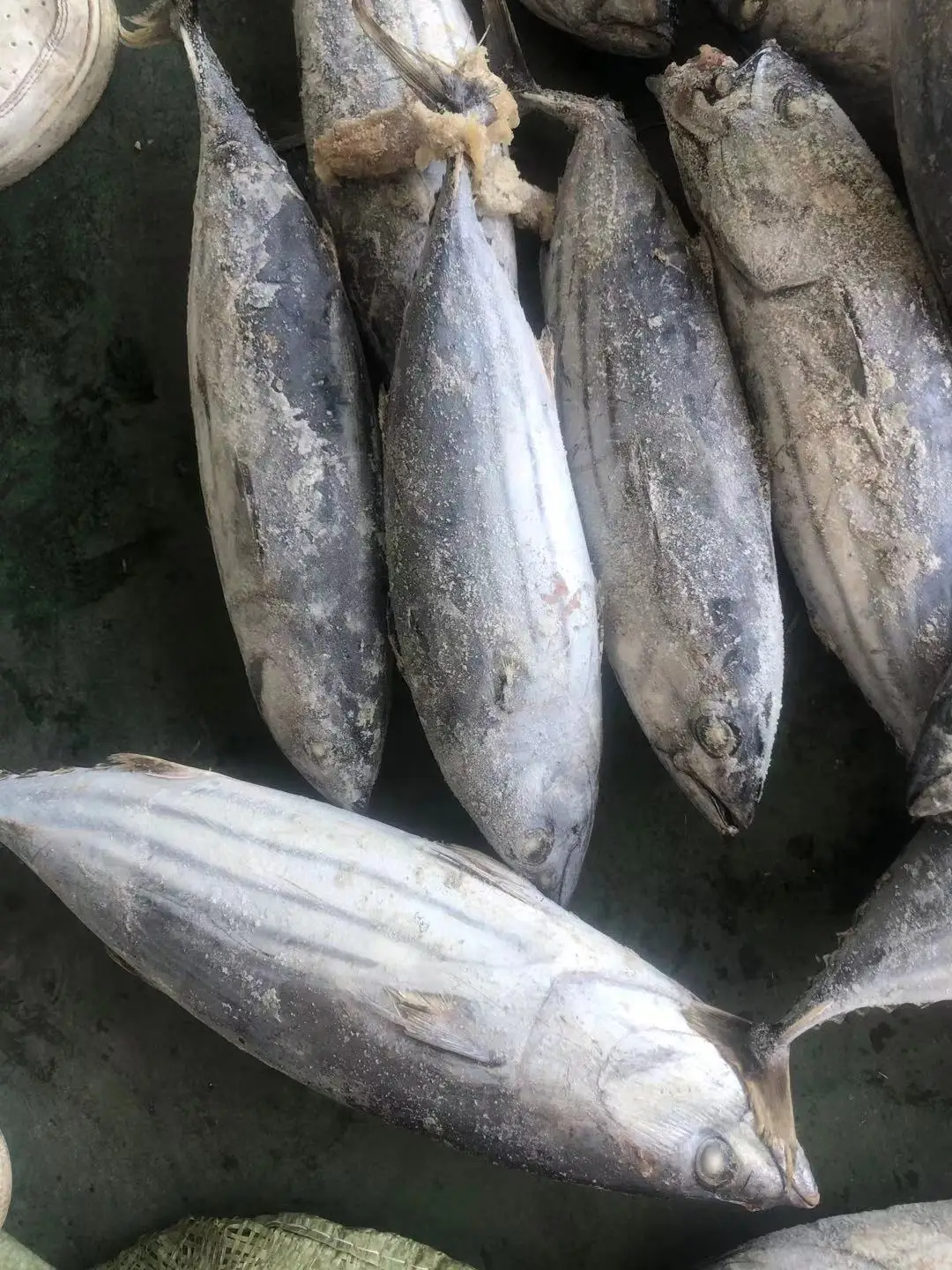 Хорошее качество рыбок из тунца