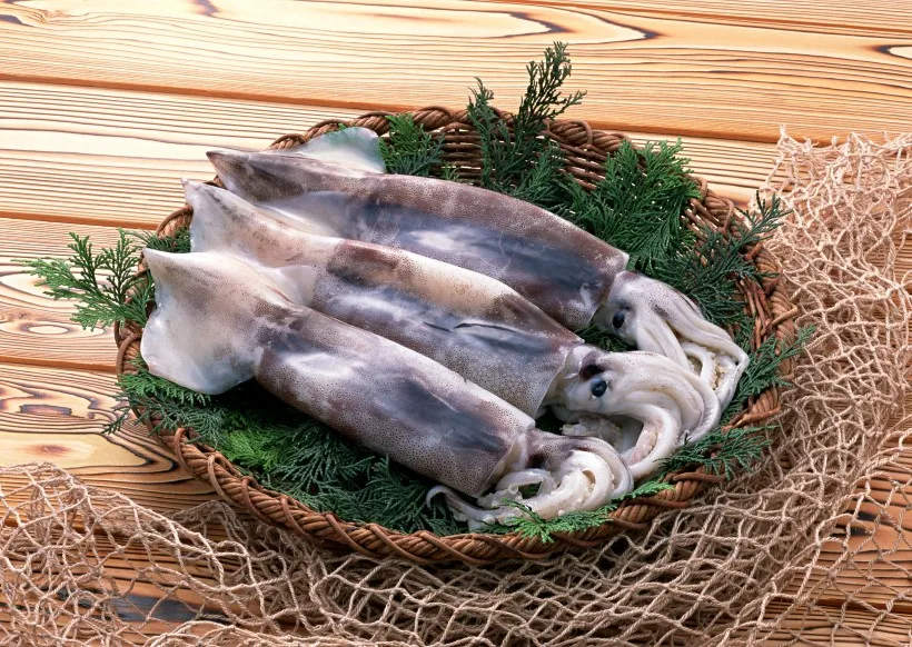  Горячая Распродажа морепродукты набивные кальмары 20%