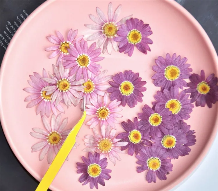 
DIY Small natural myosotis chrysanthemum dyed herbarium dried pressed flowers for face decoration 