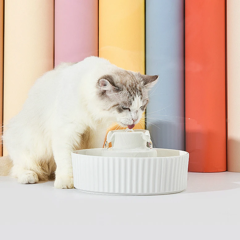 Advanced Porcelain Pet Fountain Super Quiet Drinking Fountains for Puppy and Kittens Indoor with Replacement Filters and Foam