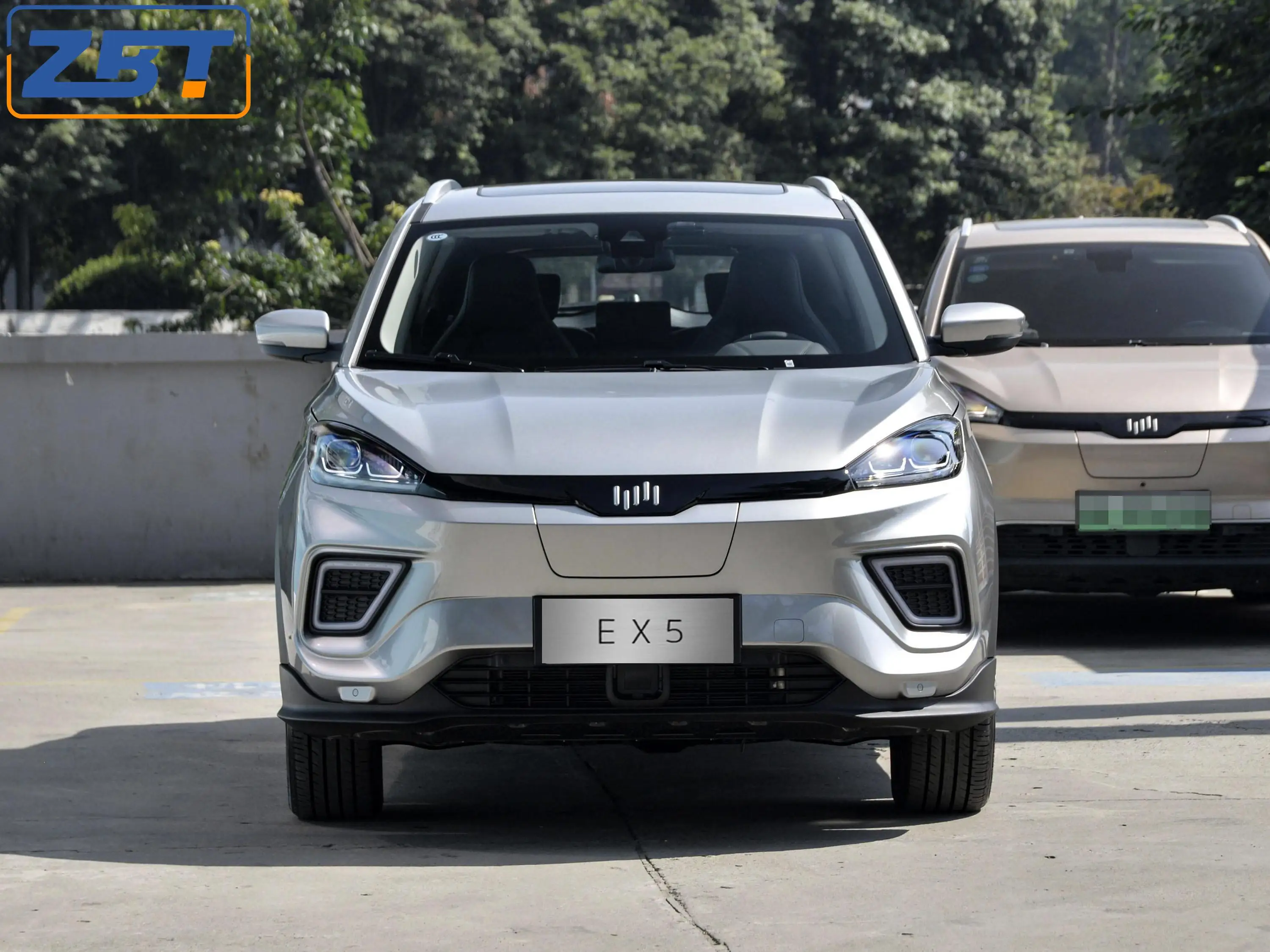  Green energy Супер длинный диапазон высококлассный роскошный WM EX5 SUV мотор электромобиль с тройной литиевой