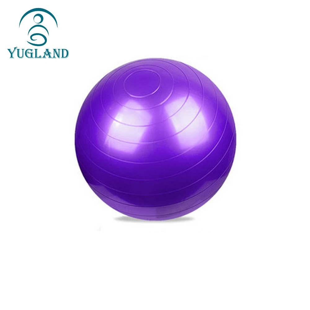  Exercise Balls Yoga Ball Fitness Equipment No Slip 55cm pvc yoga