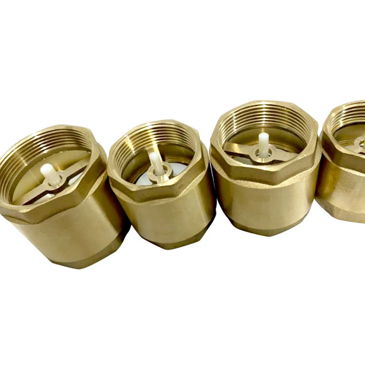 Support samples Thread Brass Water Vertical Spring Stainless Non Return Valve