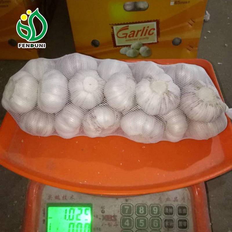 New Season Fresh Garlic From China