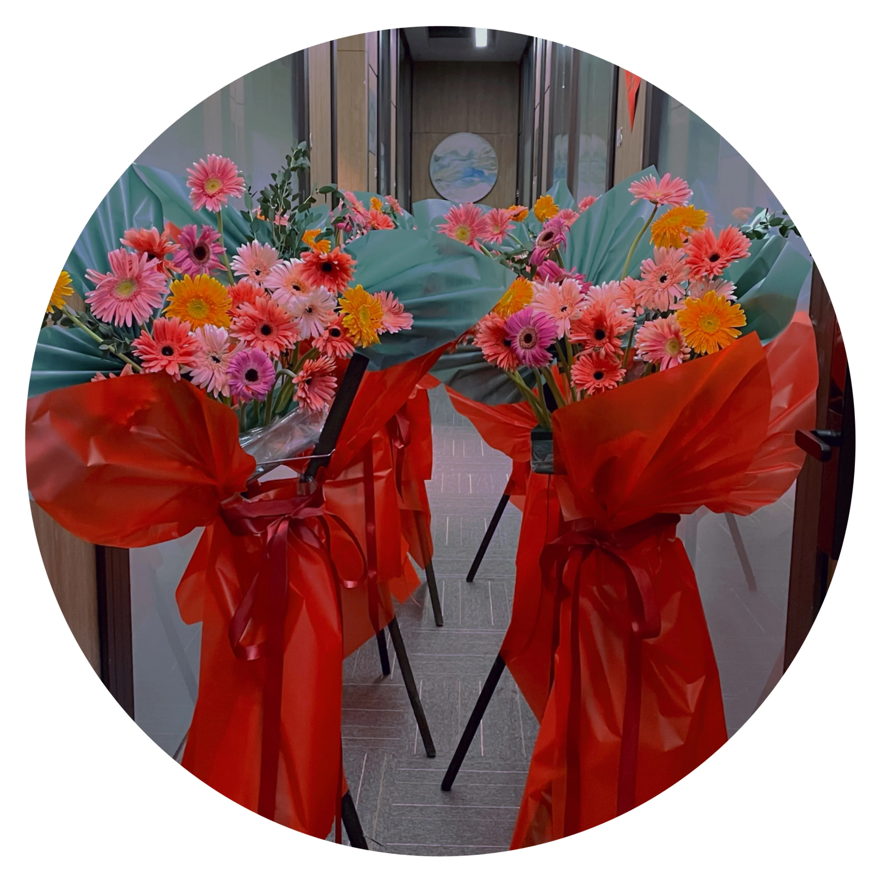 Yuhuiting flower African daisy basket for celebrating new shop opening