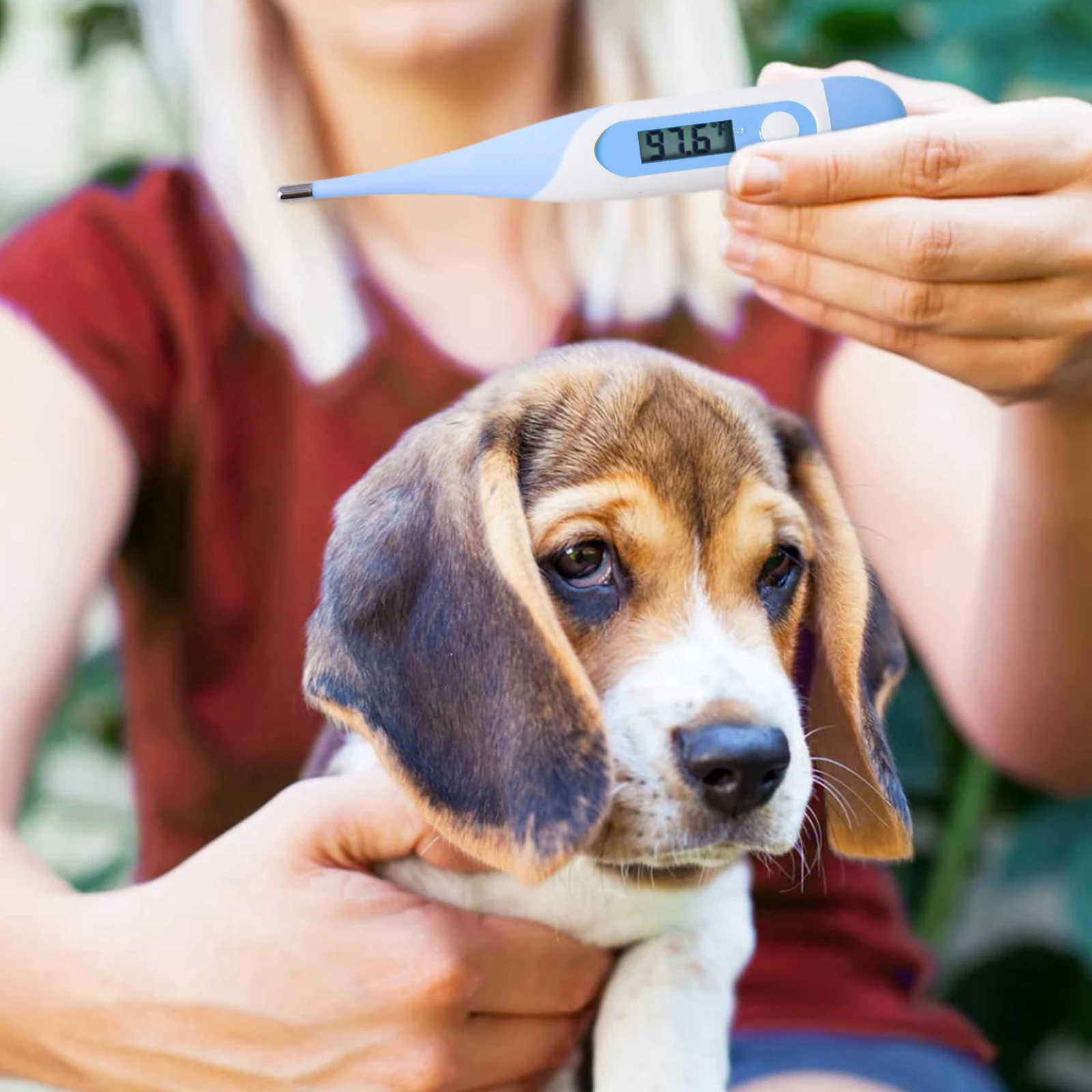 CONTEC T15S VET Portable Digital Veterinary Electronic Thermometer Vet
