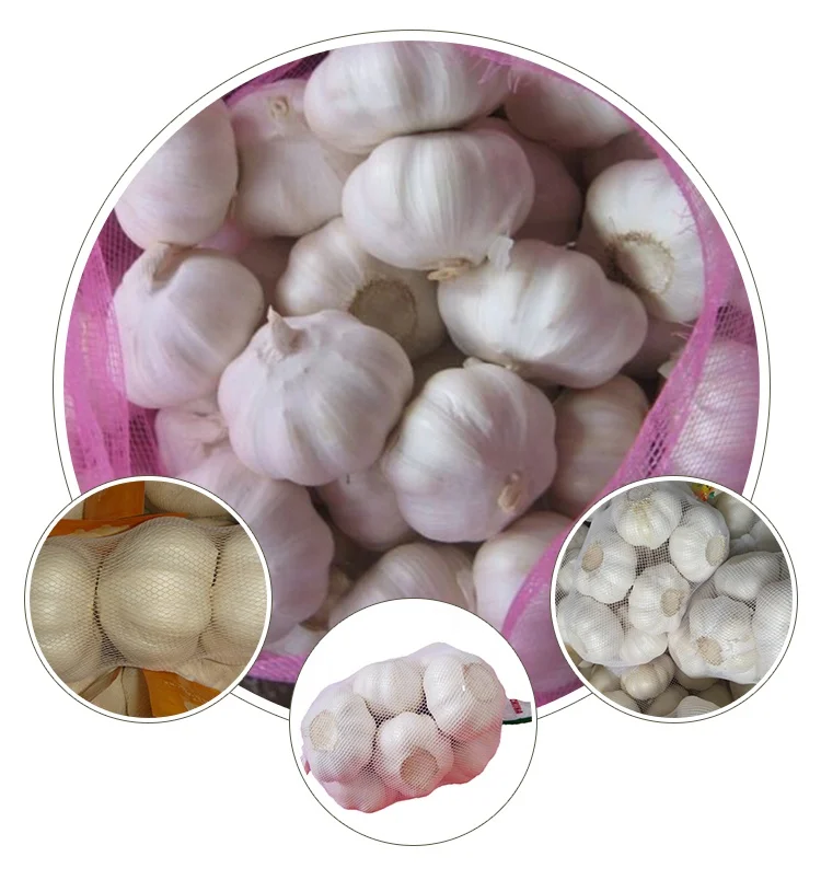 fresh garlic wholesale garlic export pure white dried garlic