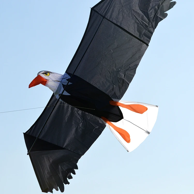 
Best selling fashion outdoor sport kid toy summer beach eagle kite 