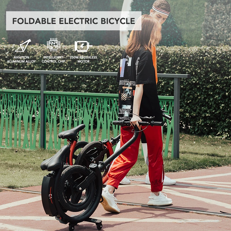 Manufacturer Direct 36V 250W 14inch Gas Tires Light Folding Electric Bicycle Bike