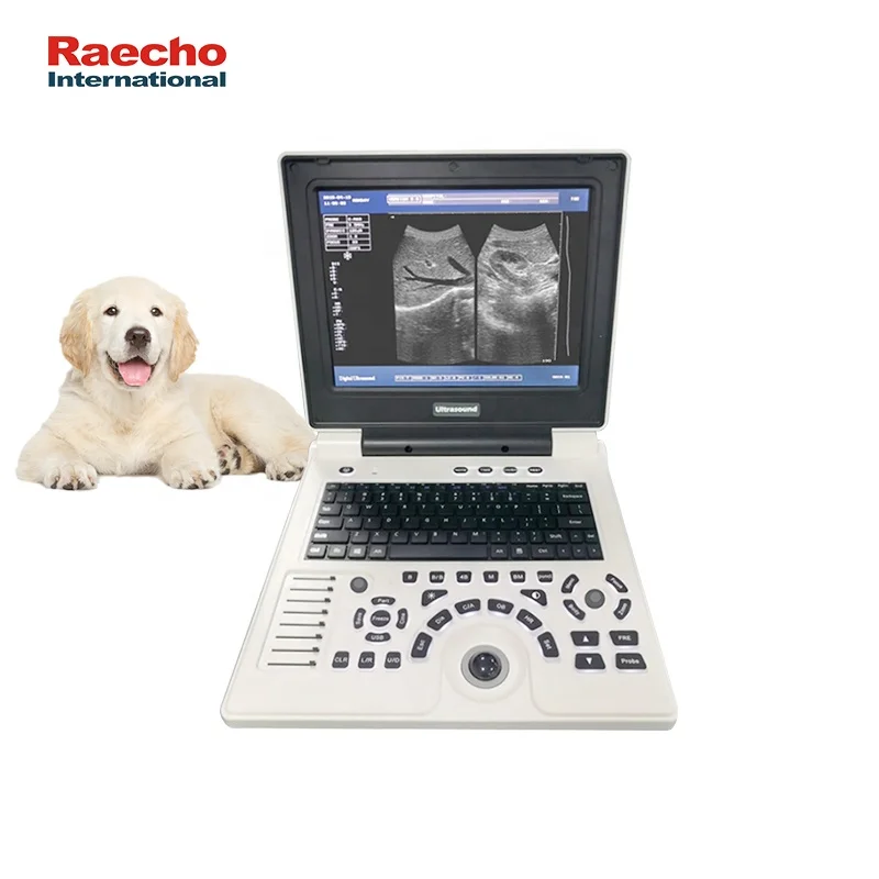 New Design Portable Vet Ultrasound