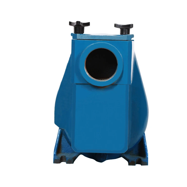 Acero inoxidable bomba d agua alta prescion piscina filtracion bombear
