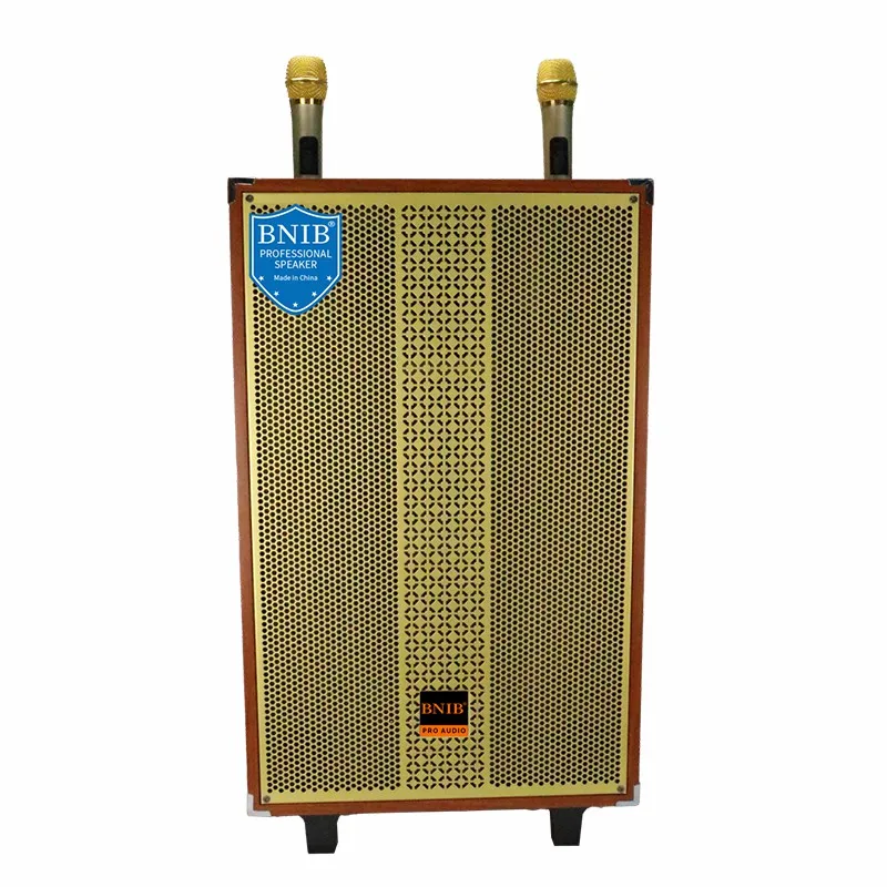 Hot Selling Products 2022 Portable Speaker 10 Inch Speakers Subwoofer Speaker ODM OEM USB BT TF MIC