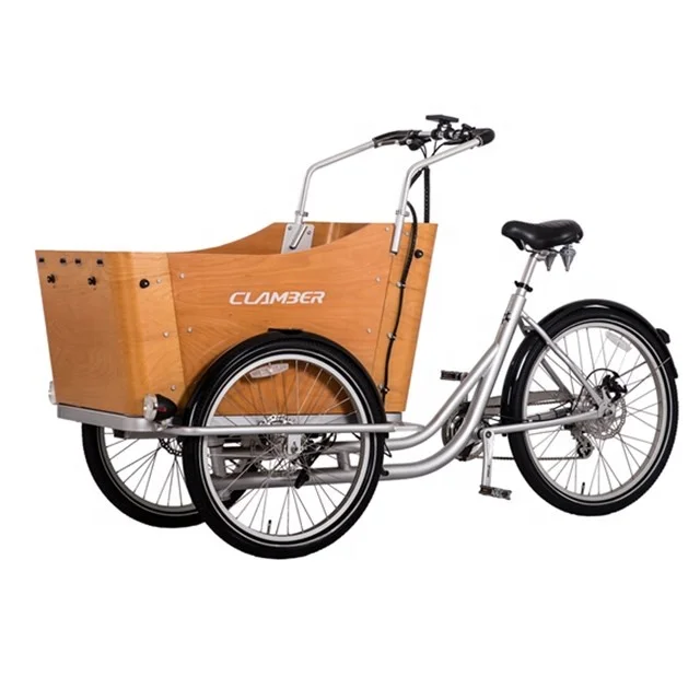 3three Wheel Handicapped Bike ,cargo Bikes Electric Cargo with 6 Speeds for Sale T-BOX-E