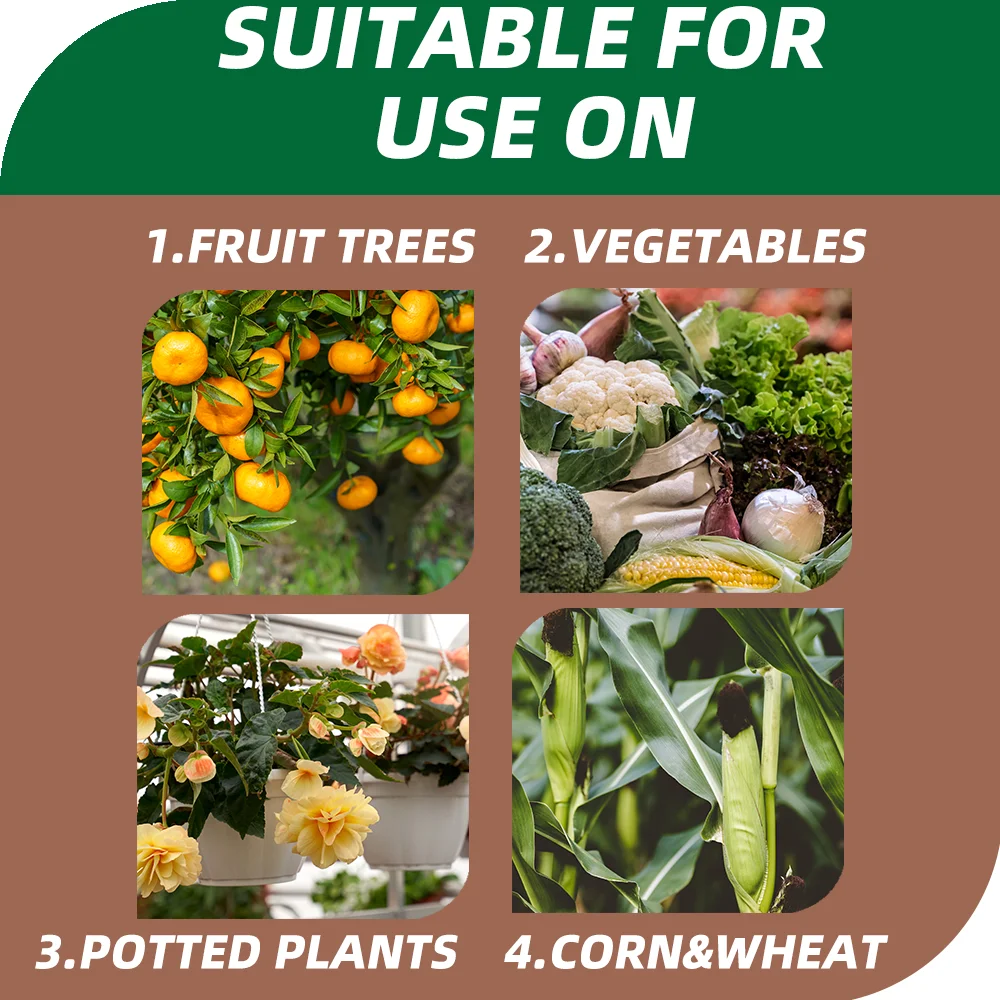 NPK Controlled Release Water Soluble Compound Fertilizer Granular for Agricultural Use  Granules Water Soluble Fertilizer