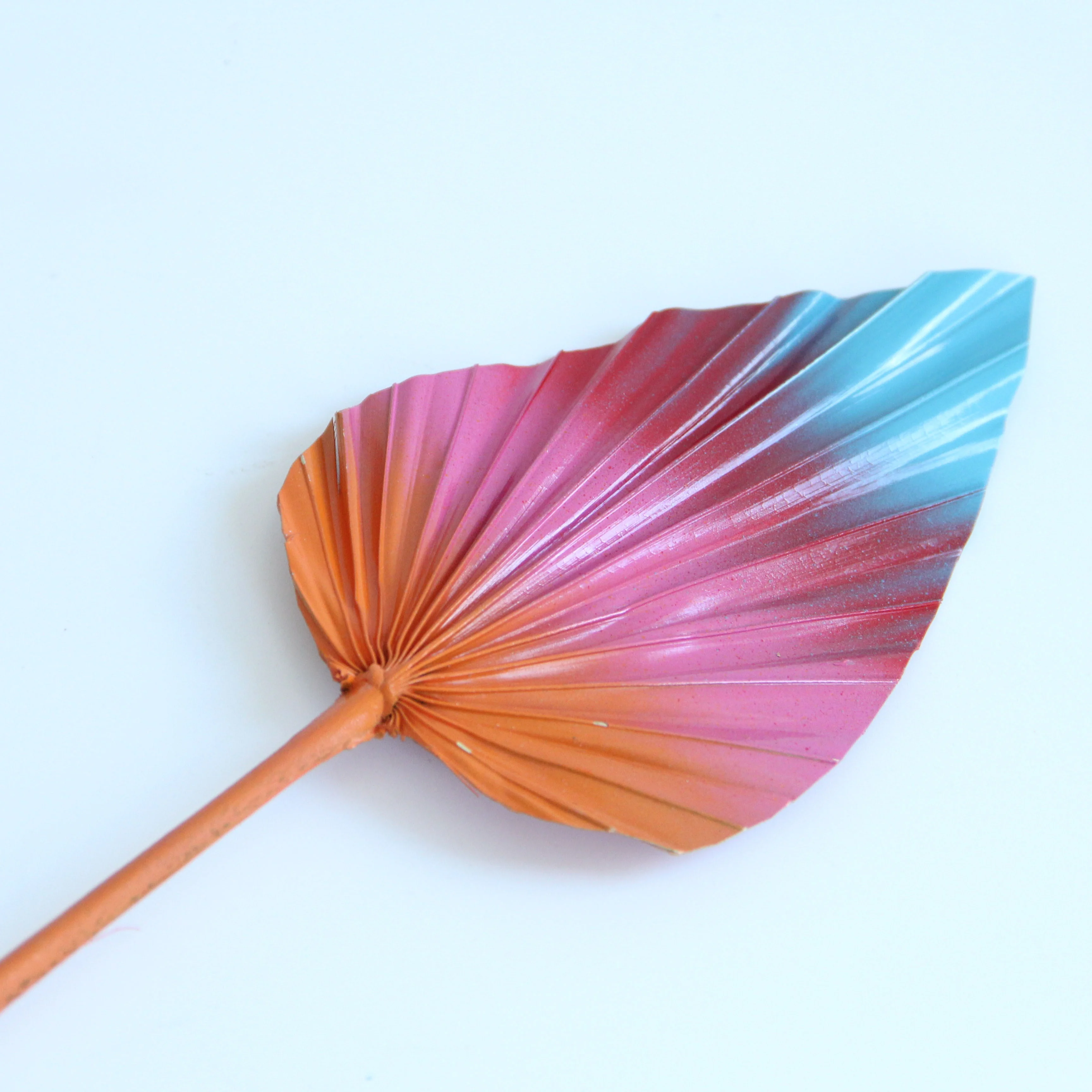 Natural Preserved Dried Flowers Pampas Mini White Palm Leaves Palm Tree Leaves Flowers Tropical Dry Spears Fan Leaf