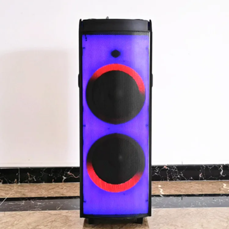 
12 Inch Portable Trolley Speaker Woofer Speaker Support USB Flash Drive Fm Radio Speaker System With Lights 