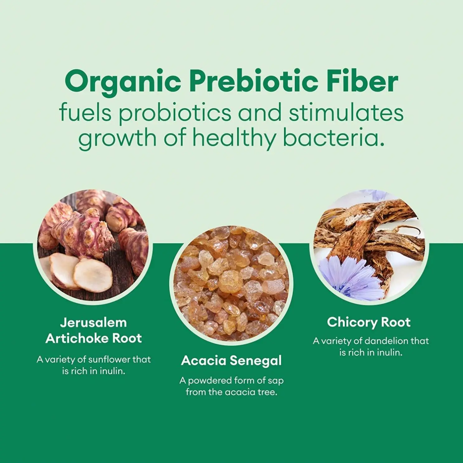 Lactobacillus Acidophilus Probiotics Capsules Weight Management Digestive Enzymes Prebiotics And Probiotic Supplement