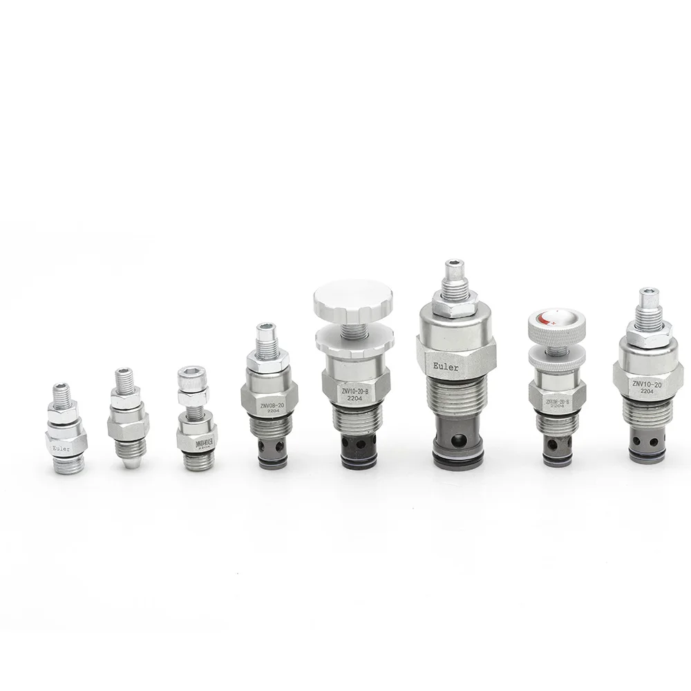 Euler Hydraulic Control Pressure Relief Valves Excellent Technology Professional Manufacturing Team