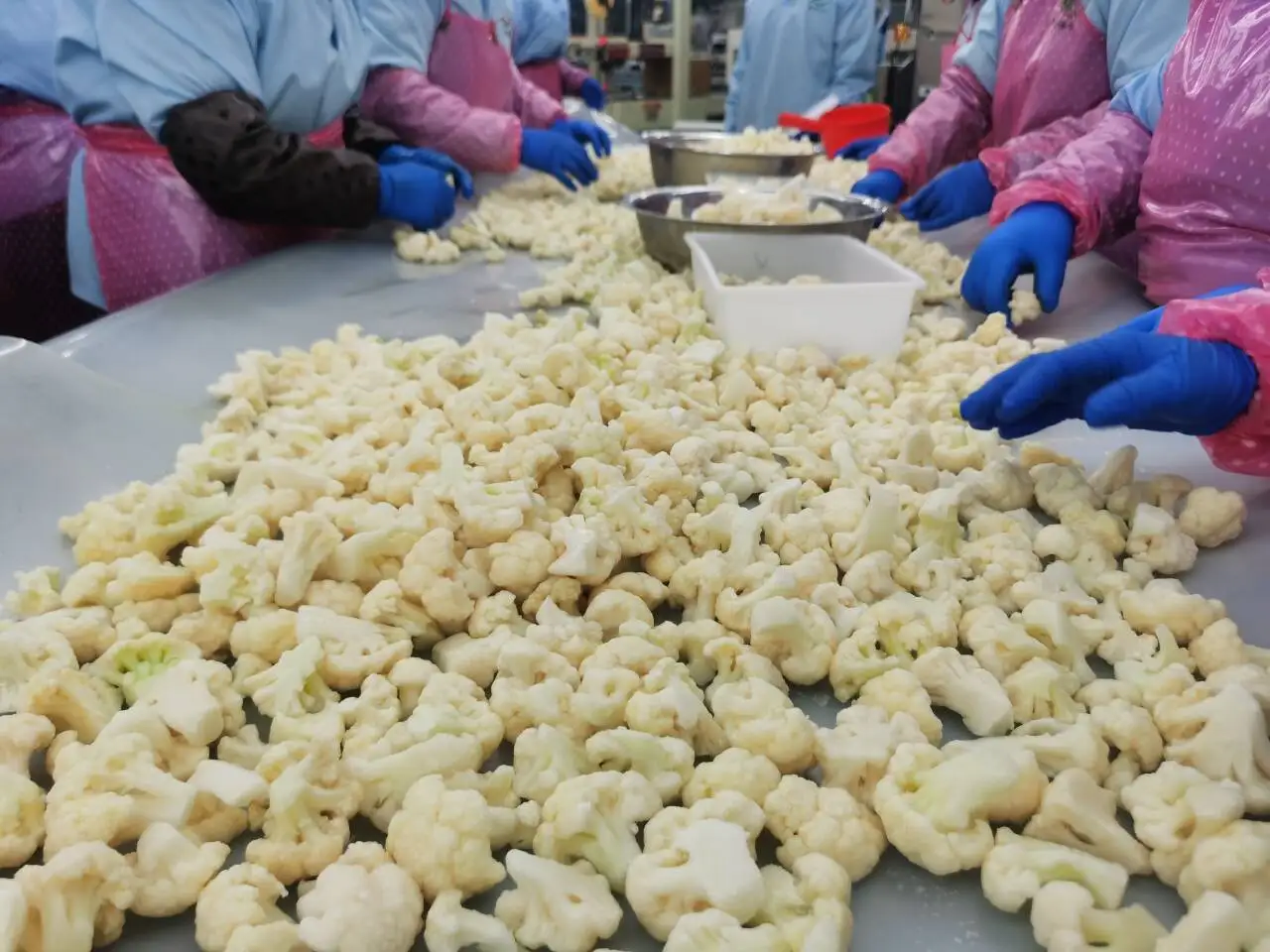 New Season Frozen Cauliflower IQF Frozen Cauliflower Cut