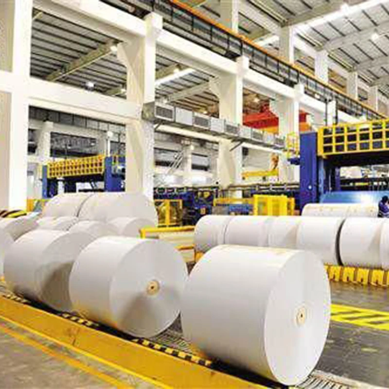 Good Price Factory Manufacturing Cellulose Fluff Pulp for Baby Diaper Raw Materials