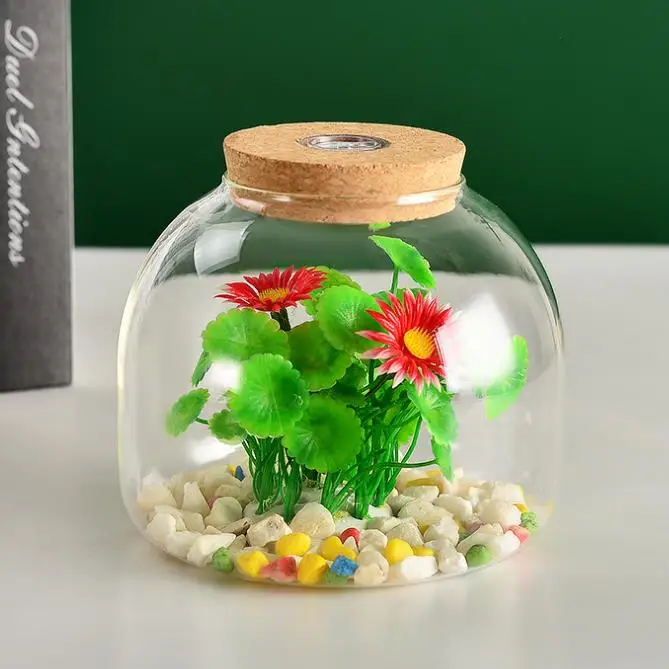 wholesale Transparent Handmade High Borosilicate Terrarium Glass Bottle for Plant glass vasewith light and lid