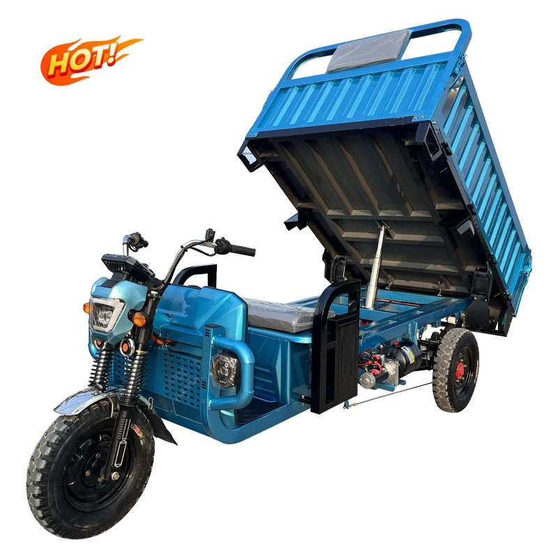 Latest Version Quality Strong Power 3 wheel triciclo electrico Cargo trike rickshaw Electric Tricycle for adulto carry goods
