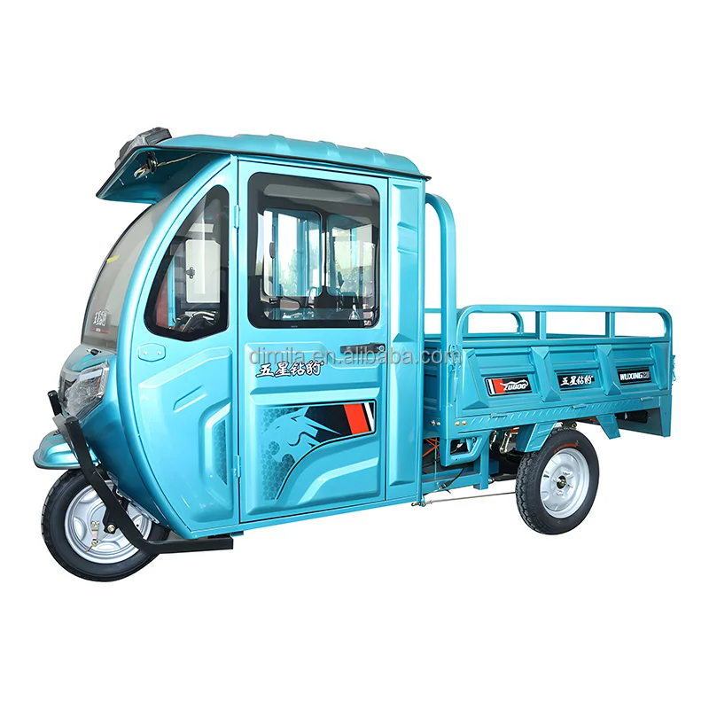 Hot-Selling Cargo Tricycle Enclosed Compartment and Covered Head Heated Wireless Bluetooth for Adult 3 Wheel Tricycles