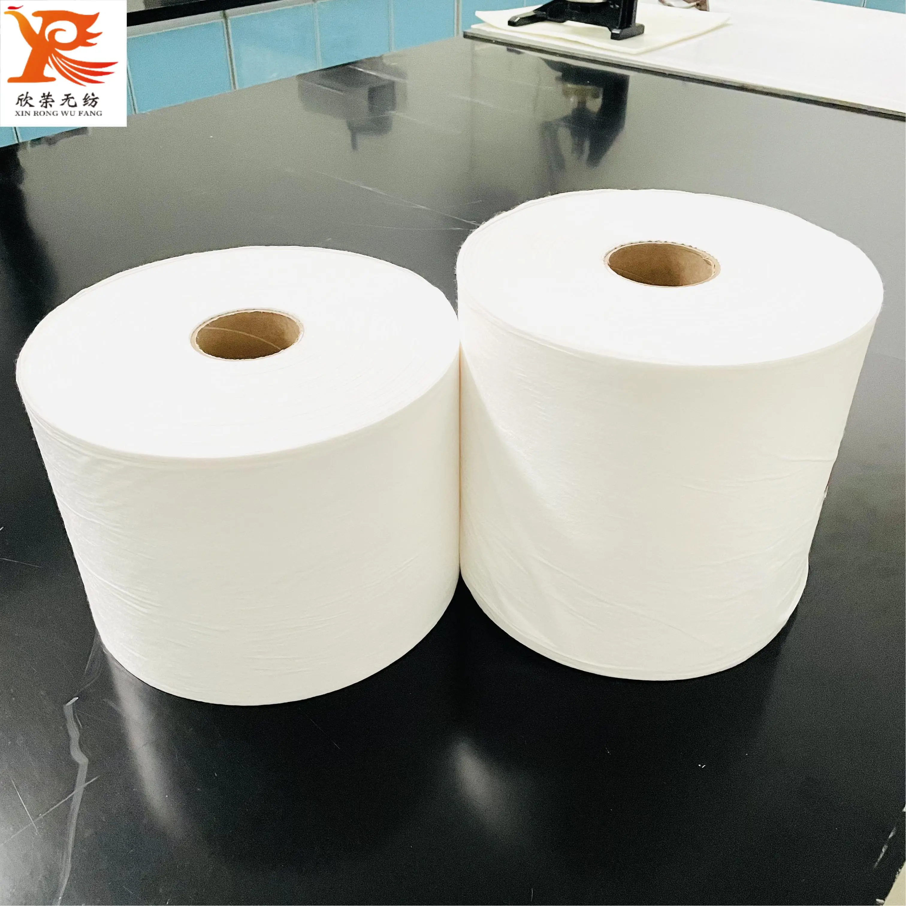Spun-Bonded Nonwoven Fabric 100% Polypropylene Material Non Woven Fabric