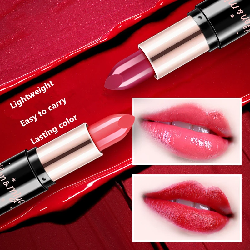 Matte Lipstick Long Lasting High Pigmented Waterproof 4 Colors Lip Gloss Kit For Lips Makeup