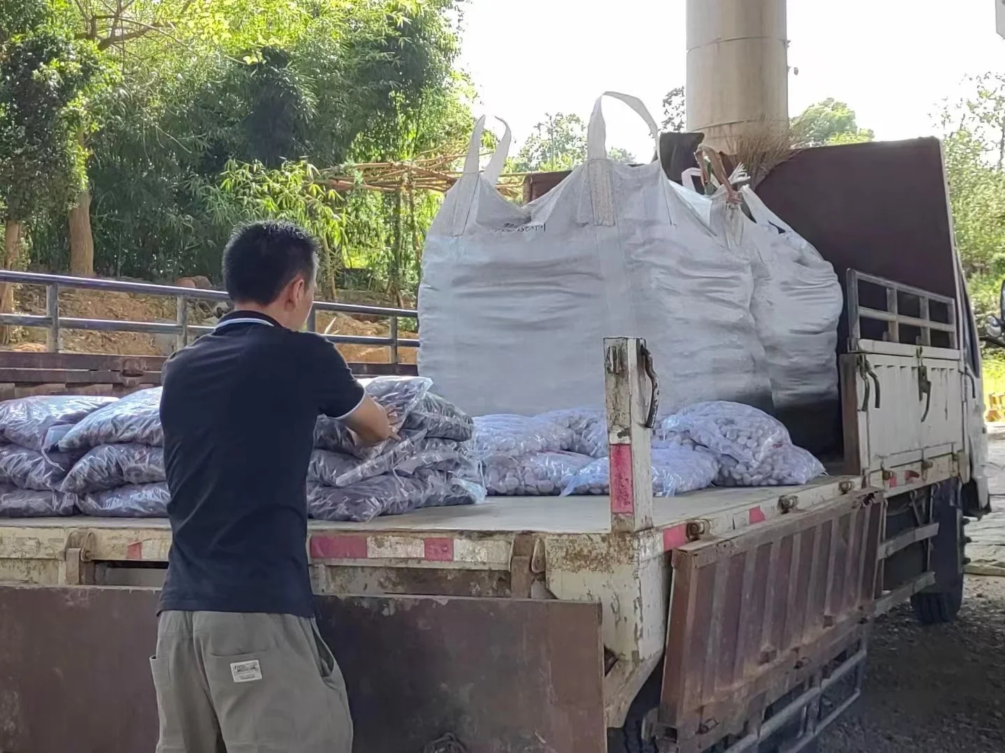 Snow White Beach Pebbles Wash Stone