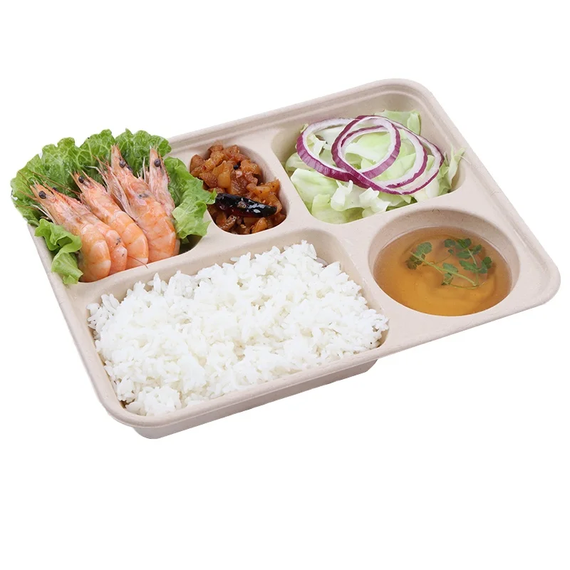 Lunch Disposable Biodegradable Eco Friendly Containers Sugarcane Bagasse With Lid Bento Boxes Takeaway Food Box