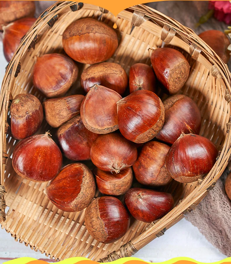 2021 Заводская поставка каштана, органические каштановые орехи, цена, упаковка в пакеты для импорта каштановых орехов от китайского поставщика