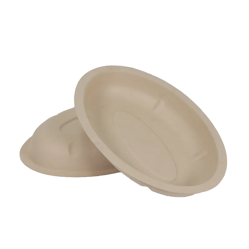Biodegradable Bamboo Bento Lunch Box Restaurant Takeaway Clamshell Food Container Sugarcane Paper Bagasse