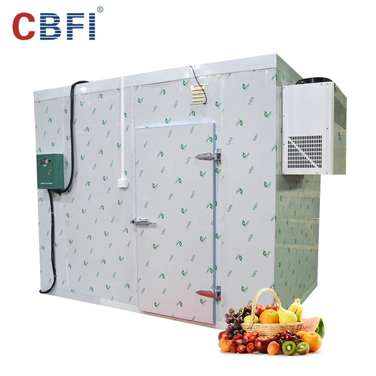 Best price frozen cold room for meat and fish storage