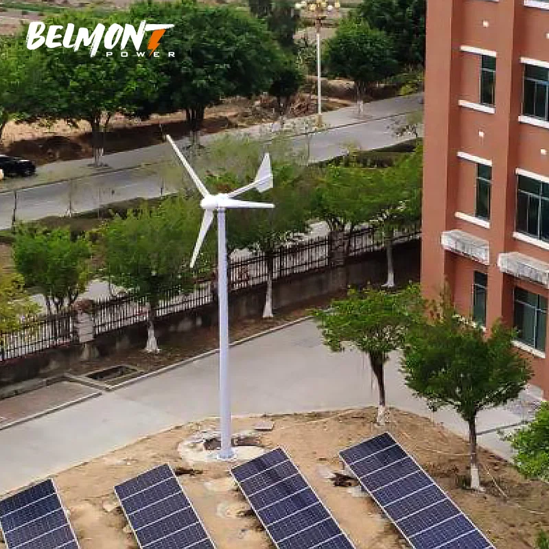 Horizontal Axis 2000w 2500w 3000w home wind turbine generator with controller inverter battery