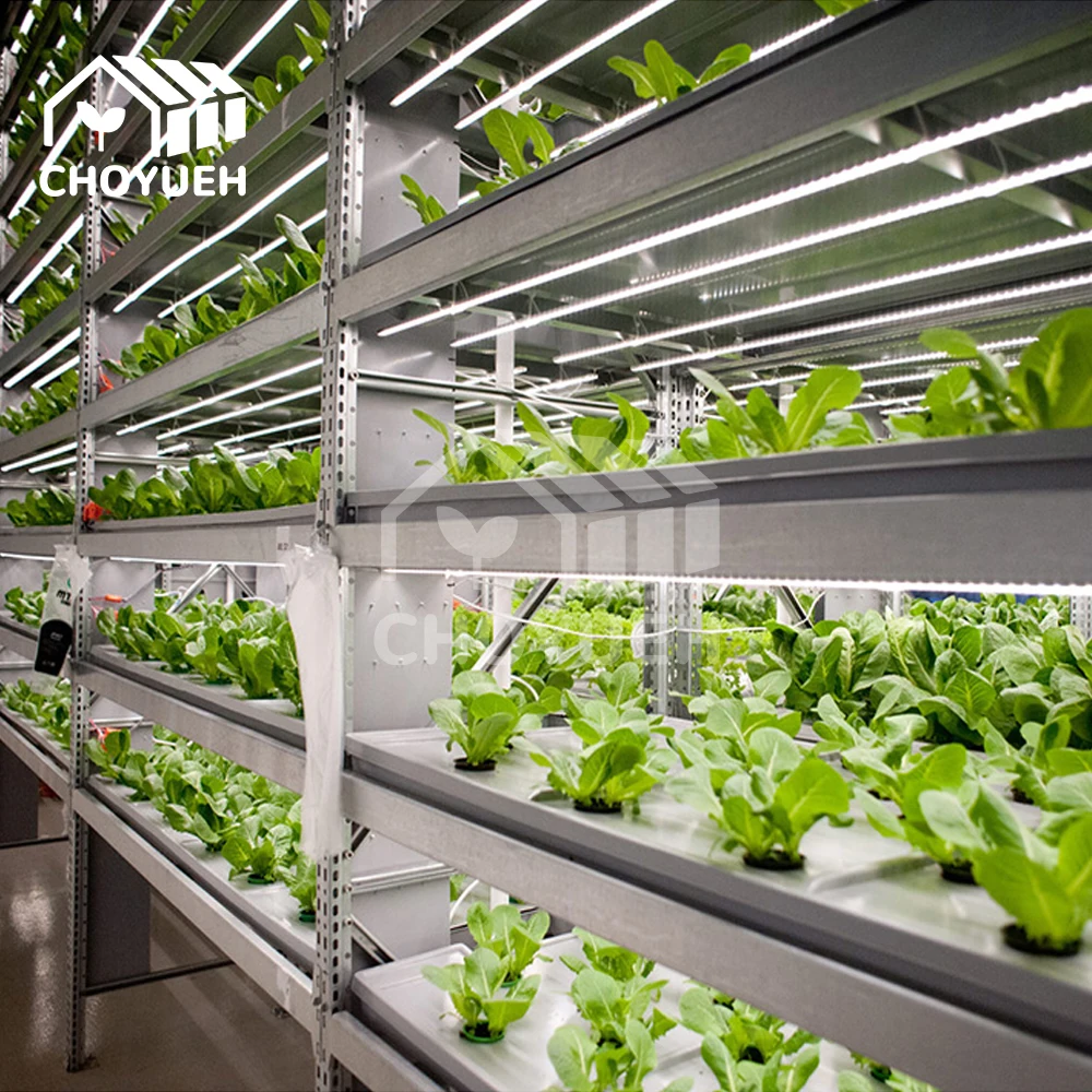CHOYUEH Wholesale Hydroponic Systems with Good Quality and Low Cost