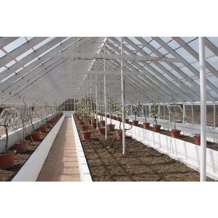 Cultured Mushroom Greenhouse with Hot Dip Galvanized Single Span Tunnel House Design Featuring a Galvanized Steel Frame