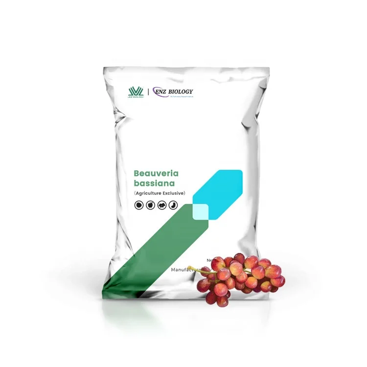 China Reinvent Kill Pests Powder 5 Billion Beauveria Bassiana For Plant Growth
