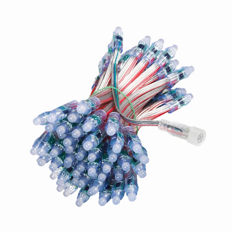 SHIJI Outdoor Full Color 12V 2811 12mm Round Led Pixel GS8208 Break Point Resume Led String Light Christmas Lights