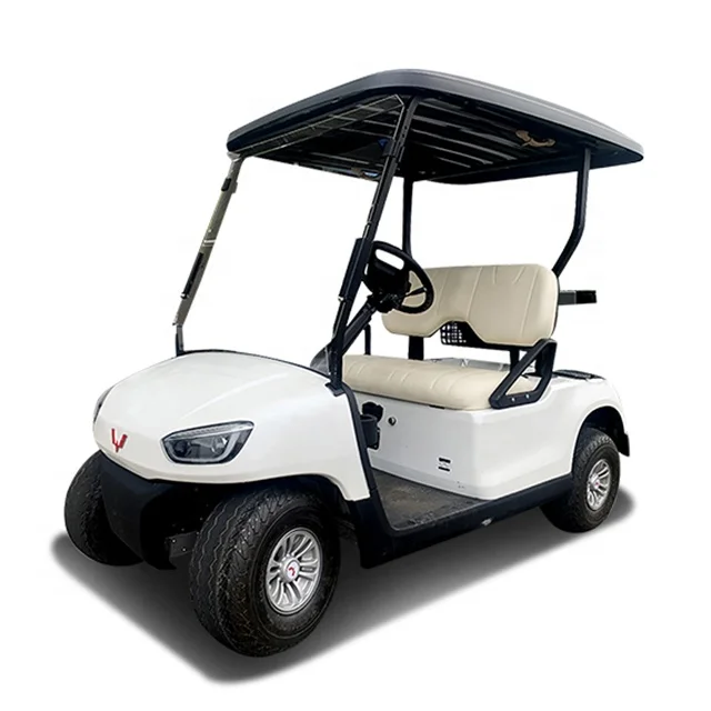 2021 newest hot sale cheap 2 seats gas powered golf buggy carts price