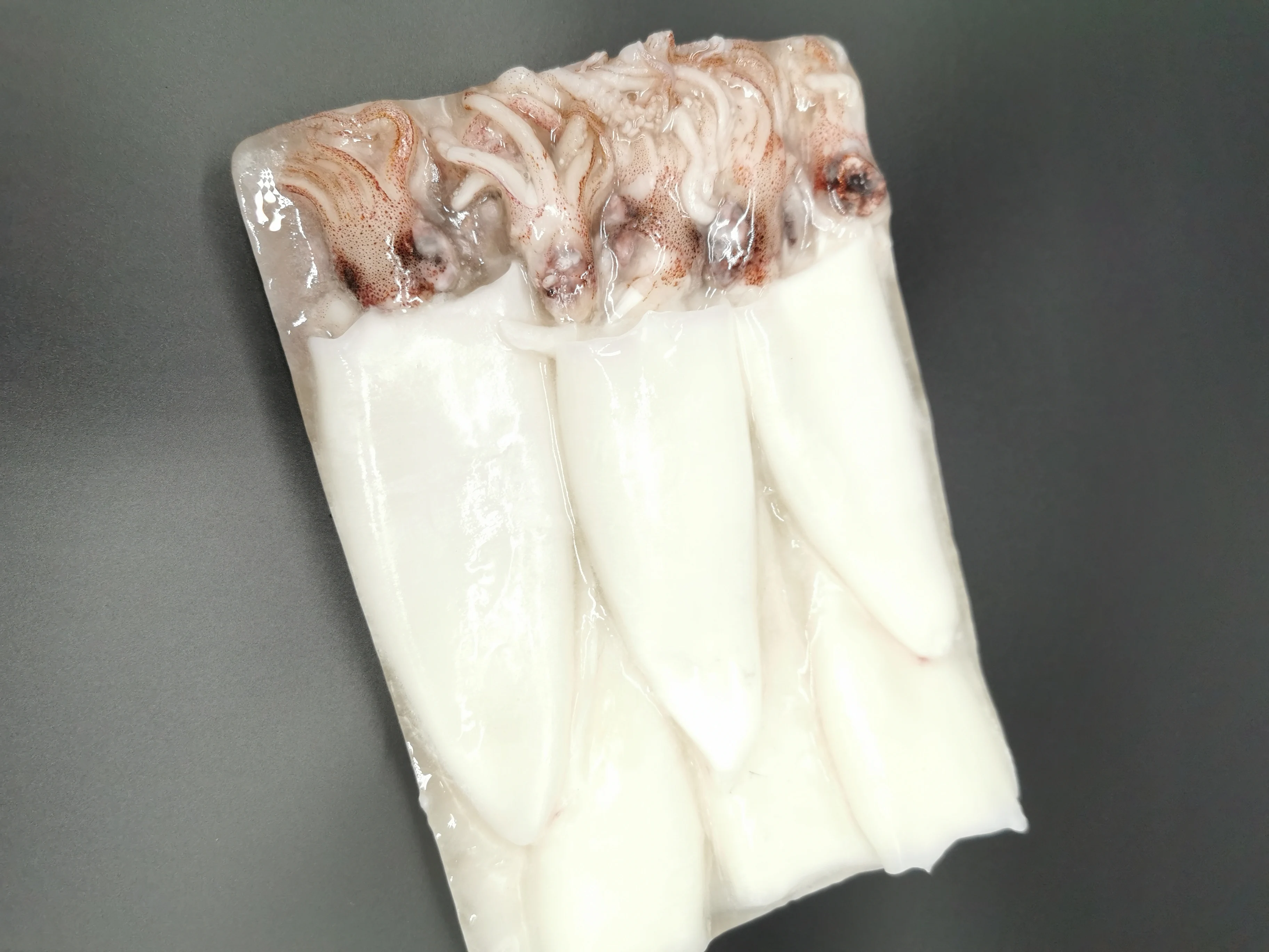 BQF baby squid  good price frozen loligo squid  on sale