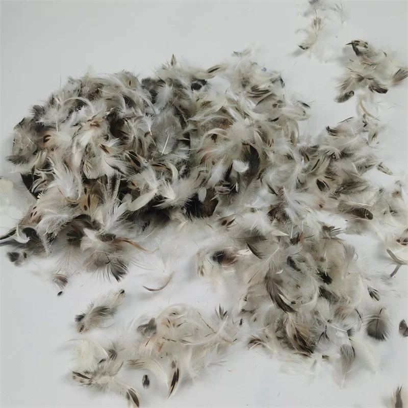 Wholesale Washed High Filling Natural Raw Goose/Duck Pure Feather Fiber Down for Pillow Duvet Use