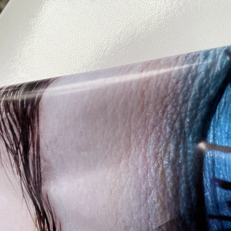 Hot Sale Bubble Free Solvent Adhesive PVC Vinyl  for Advertising Equipment Poster Materials